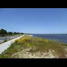 Der Radweg entlang der Ria de Aveiro